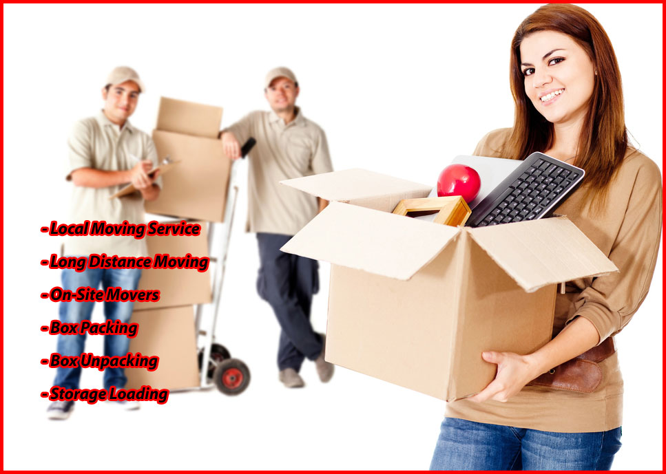 Packers And Movers Noida Sector 54